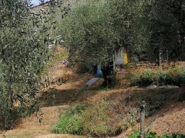 Casa indipendente in vendita a Lucca LU