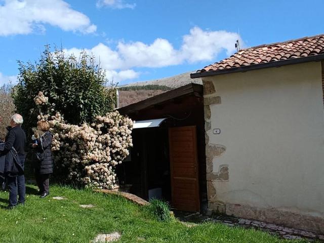 Casa indipendente in vendita a Lucoli AQ