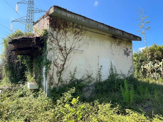 Casa indipendente in vendita a Luni SP