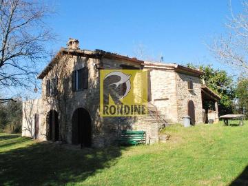 Modigliana Forlì-Cesena, Forlì-Cesena