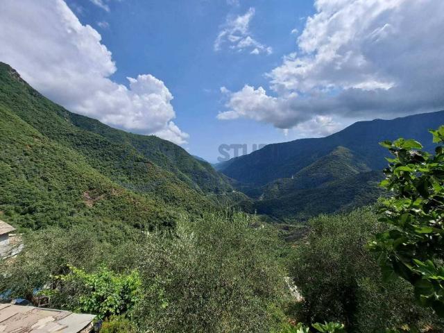 Casa indipendente in vendita a Molini di Triora IM