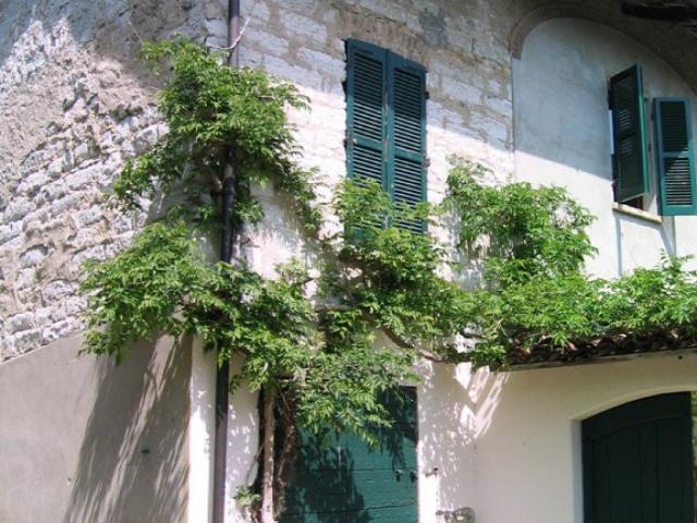 Casa indipendente in vendita a Moncalvo AT
