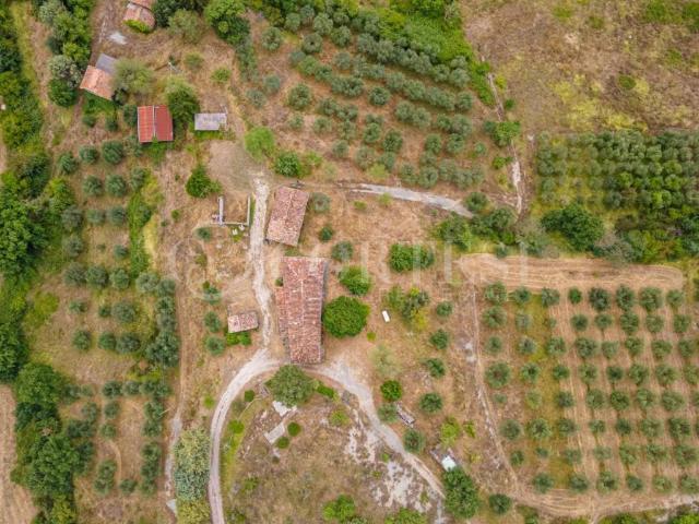 Casa indipendente in vendita a Montone PG