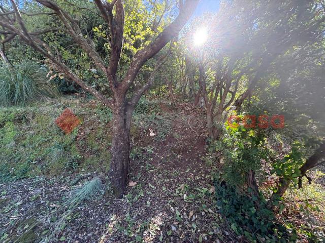 Casa indipendente in vendita a Monte San Biagio
