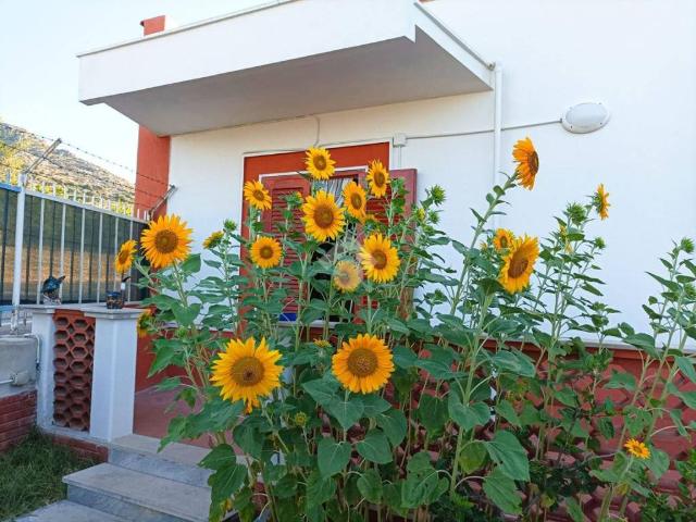 Casa indipendente in vendita a Monte Sant'Angelo FG
