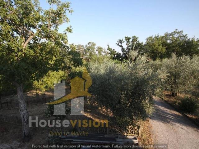 Casa indipendente in vendita a Montecarotto AN