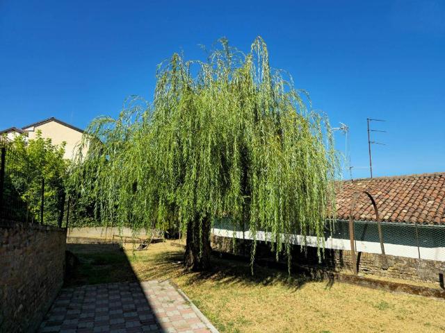 Casa indipendente in vendita a Montecastello AL