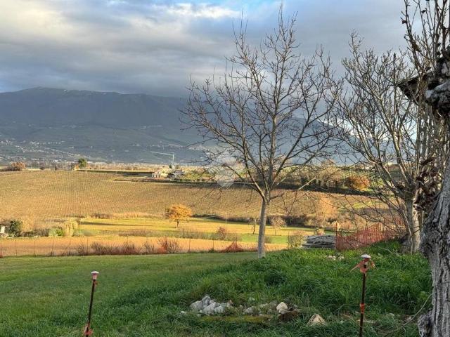 Casa indipendente in vendita a Montefalco PG