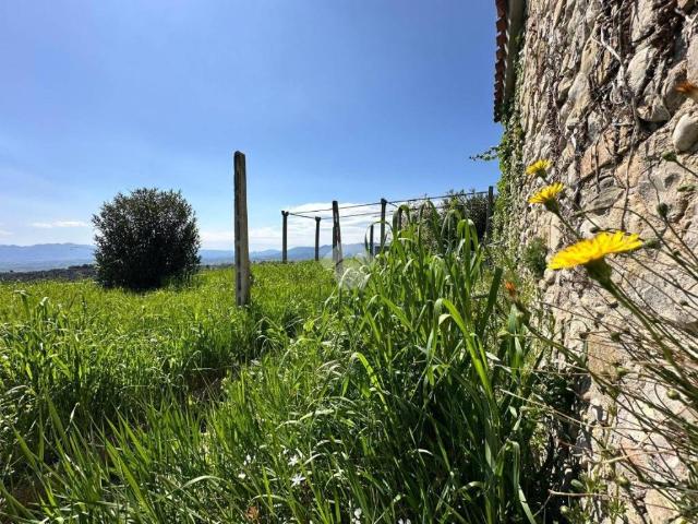 Casa indipendente in vendita a Montefalco PG