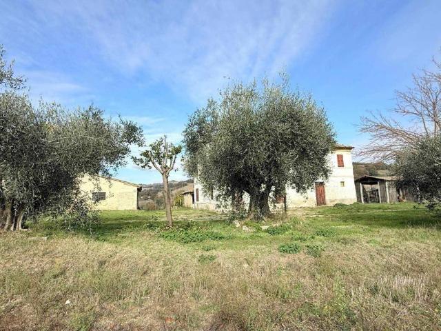 Casa indipendente in vendita a Montefelcino PU
