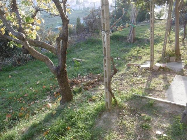 Casa indipendente in vendita a Montegranaro FM