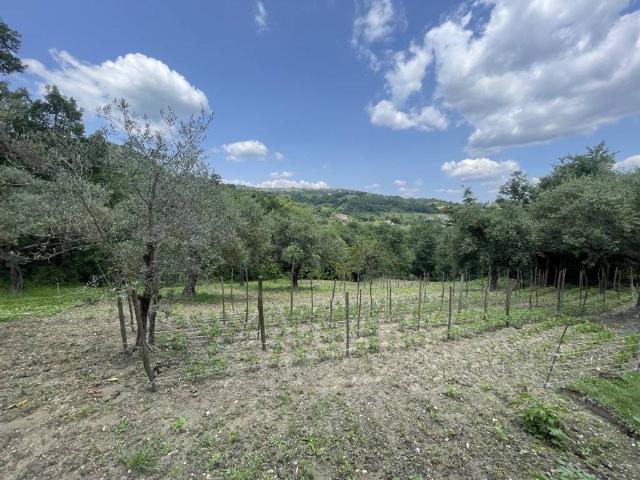 Casa indipendente in vendita a Montemarano AV