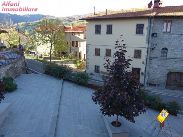 Villetta a schiera in vendita a Montemignaio AR