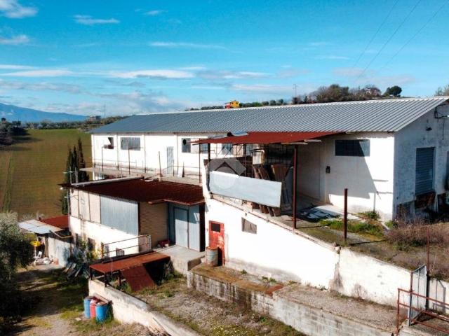 Casa indipendente in vendita a Monteprandone AP