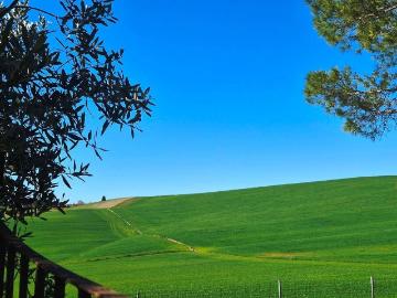 Lucignano D'arbia, Siena Toscana, Toscana