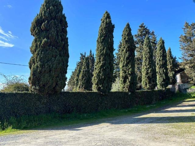 Casa indipendente in vendita a Montespertoli FI