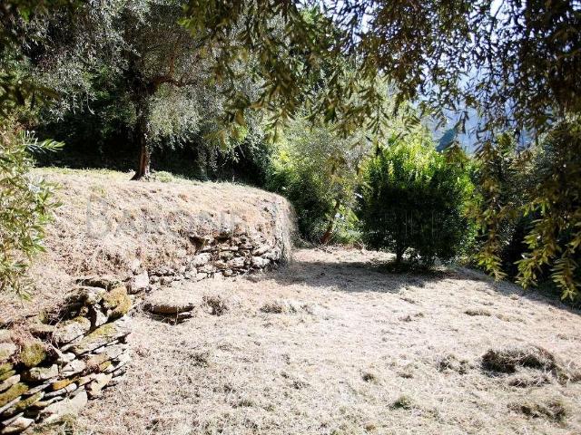 Casa indipendente in vendita a Montignoso