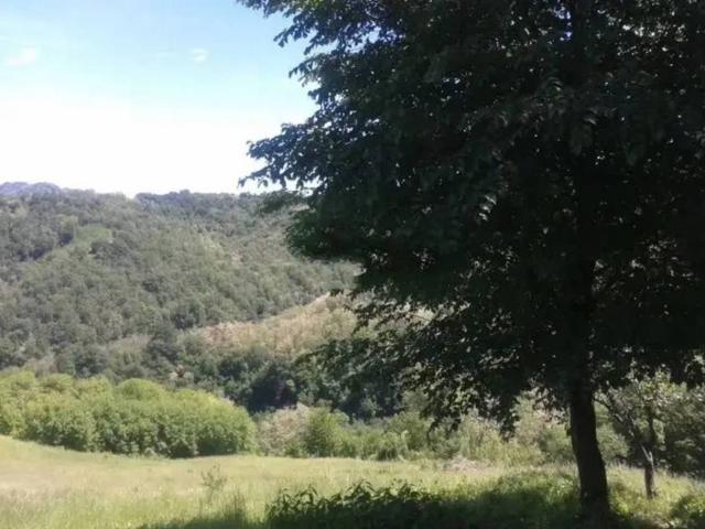 Casa indipendente in vendita a Monzuno BO