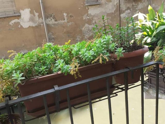 Casa indipendente in vendita a Mantova MN