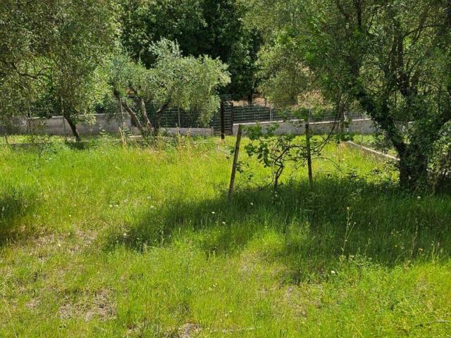 Casa indipendente in vendita a Guidonia Montecelio RM