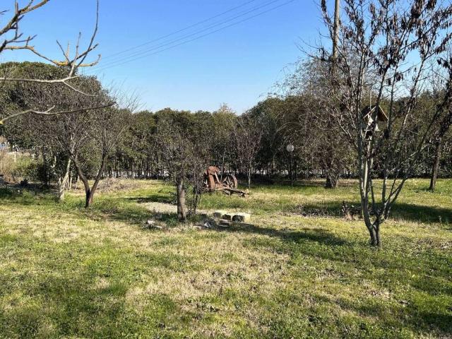 Casa indipendente in vendita a Marsciano PG