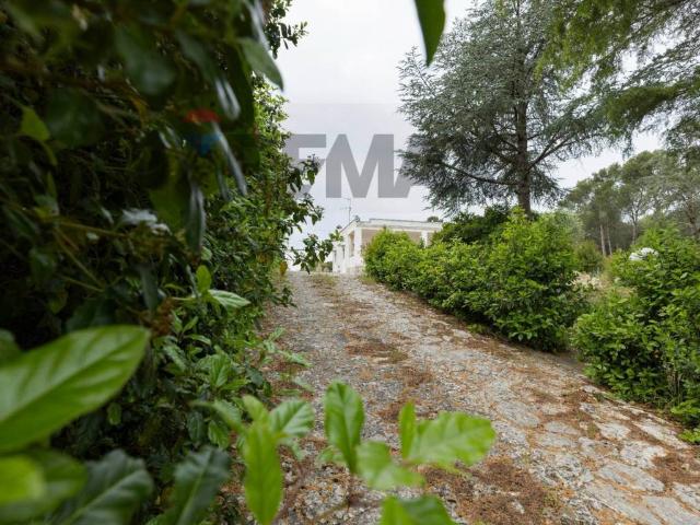 Casa indipendente in vendita a Martina Franca TA