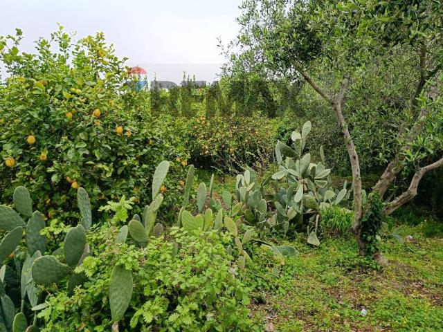 Casa indipendente in vendita a Mascali CT