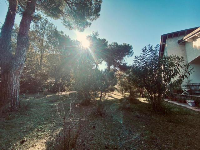 Casa indipendente in vendita a Massa