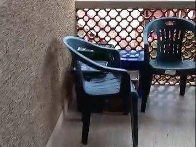 Casa indipendente in vendita a Massa MS