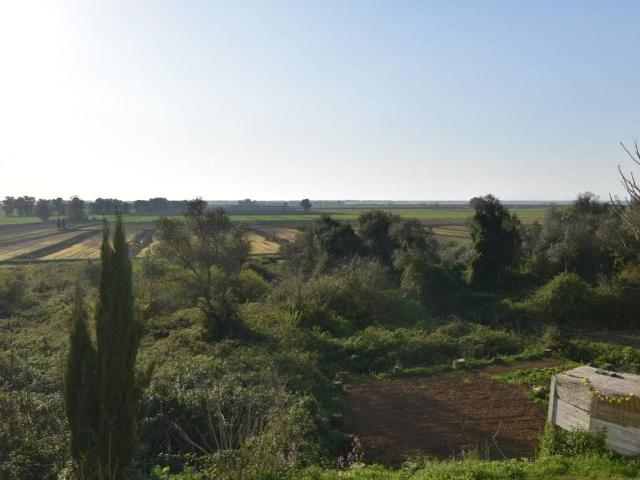 Casa indipendente in vendita a Massarosa LU