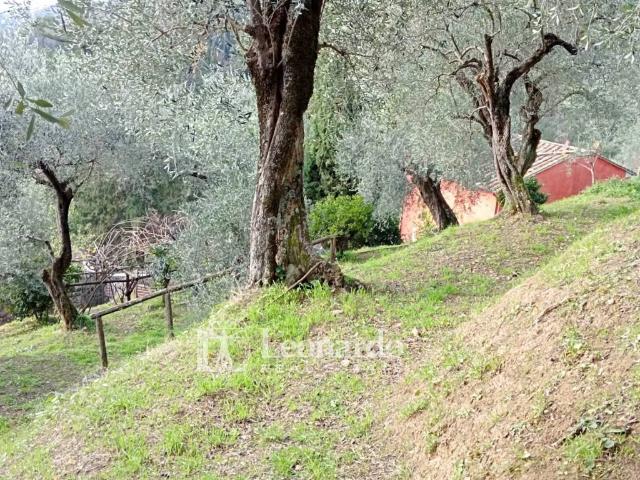 Casa indipendente in vendita a Massarosa LU