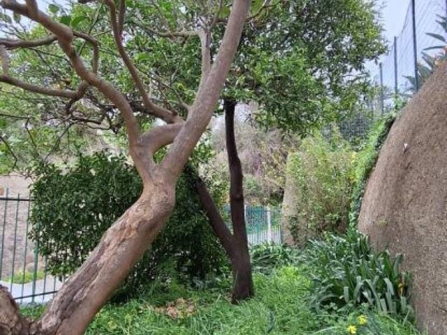 Casa indipendente in vendita a Messina ME