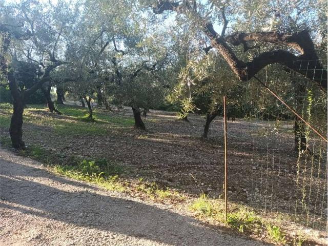 Casa indipendente in vendita a Minturno LT