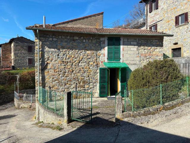 Casa indipendente in vendita a Minucciano LU