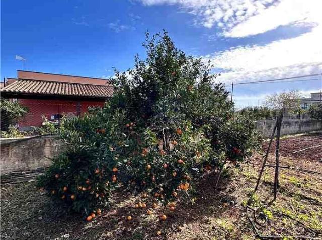 Casa indipendente in vendita a Noto