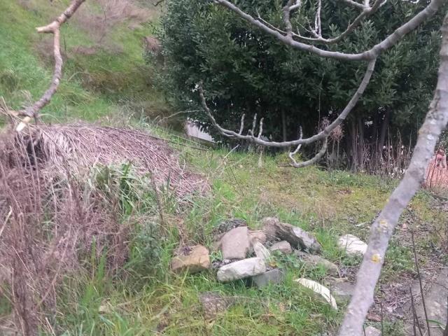 Casa indipendente in vendita a Novafeltria RN