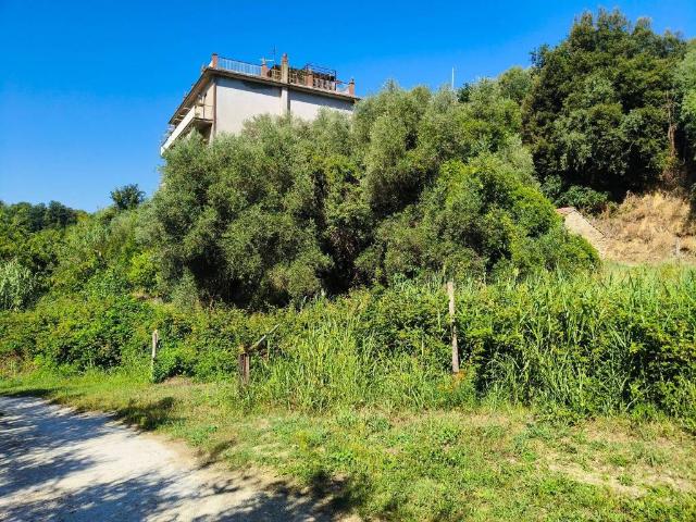 Casa indipendente in vendita a Nazzano RM
