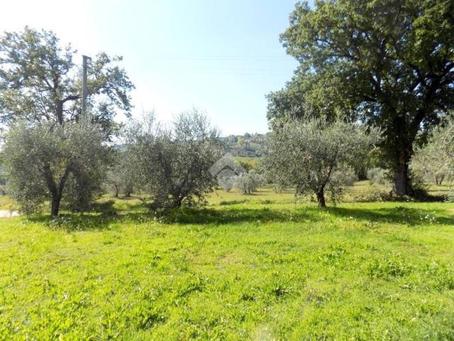 Casa indipendente in vendita a Narni TR