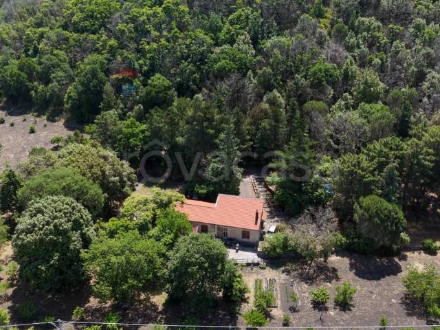 Villa singola in vendita a Nicolosi