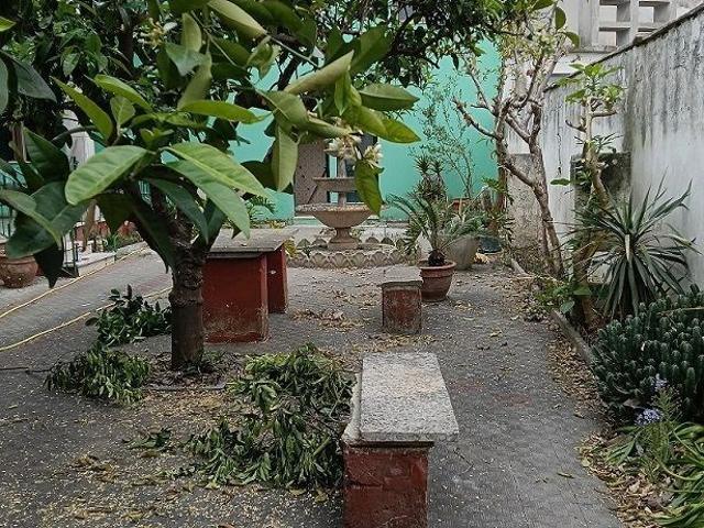 Casa indipendente in vendita a Sogliano Cavour via Trieste, 5