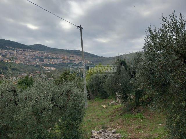 Casa indipendente in vendita a Sonnino