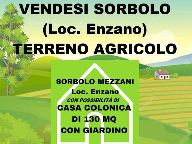 Casa indipendente in vendita a Sorbolo Mezzani PR