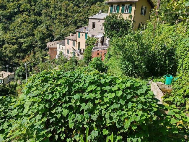 Casa indipendente in vendita a Sori GE