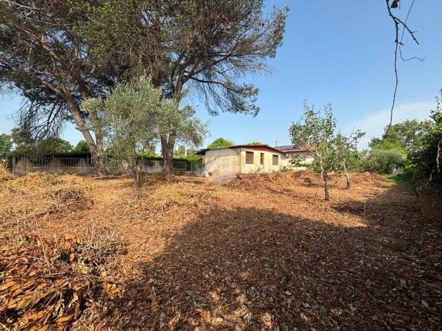 Casa indipendente in vendita a Sabaudia LT