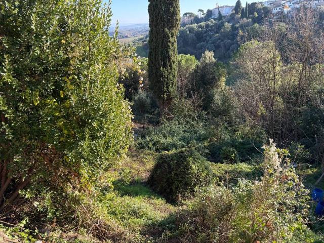Casa indipendente in vendita a San Miniato PI