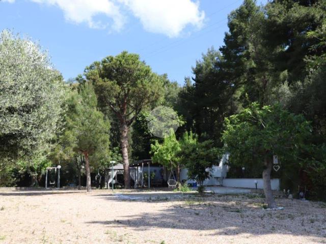 Casa indipendente in vendita a San Benedetto del Tronto AP