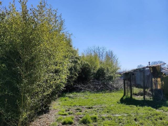 Casa indipendente in vendita a San Benedetto Po MN