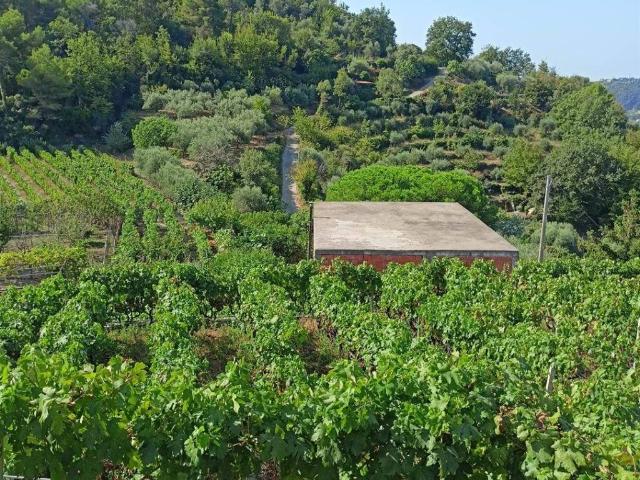 Casa indipendente in vendita a San Biagio della Cima IM