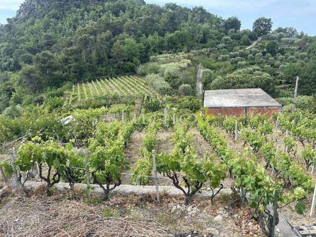 Casa indipendente in vendita a San Biagio della Cima IM