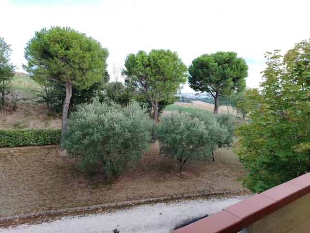 Casa indipendente in vendita a San Costanzo PU